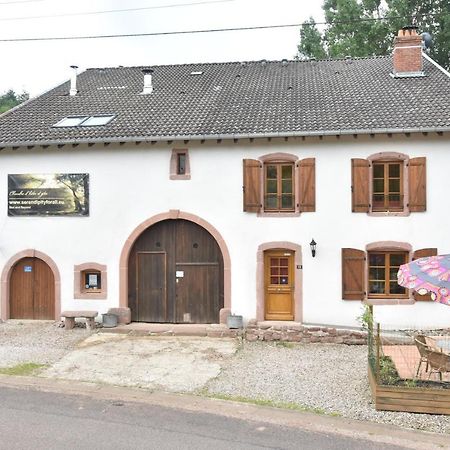 Serendipity For All Apartments Saint-Die-des-Vosges Eksteriør bilde