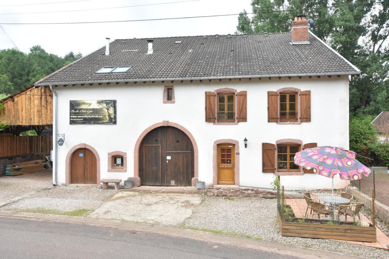 Serendipity For All Apartments Saint-Die-des-Vosges Eksteriør bilde